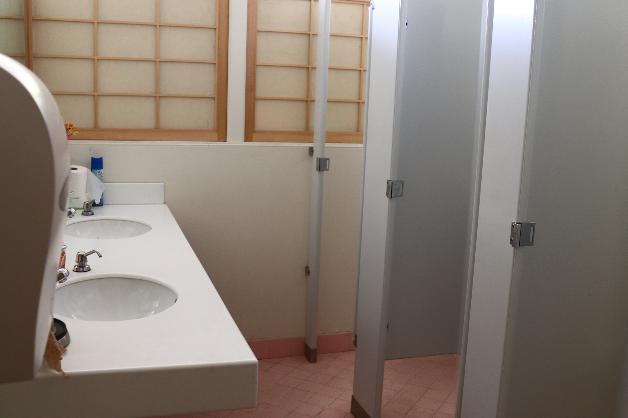 Old Restroom without space for wheelchairs and walkers